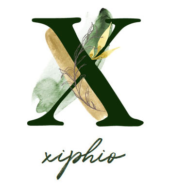 ｘｉｐｈｉｏ avatar